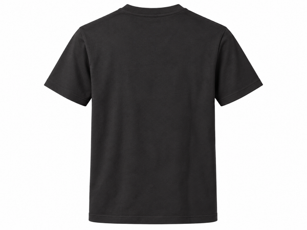 Embroidered Supima Cotton Tee - Mountain Rainier