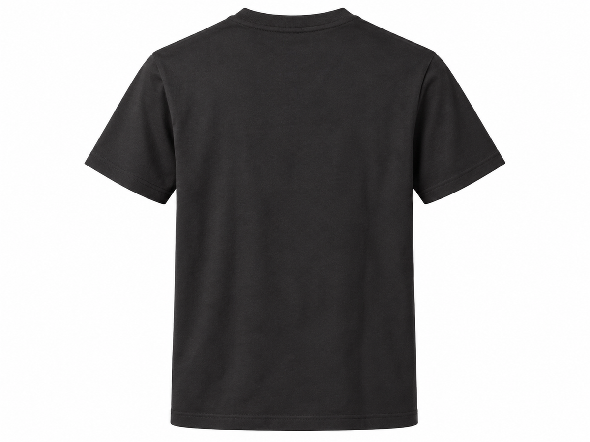 Embroidered Supima Cotton Tee - Mountain Rainier