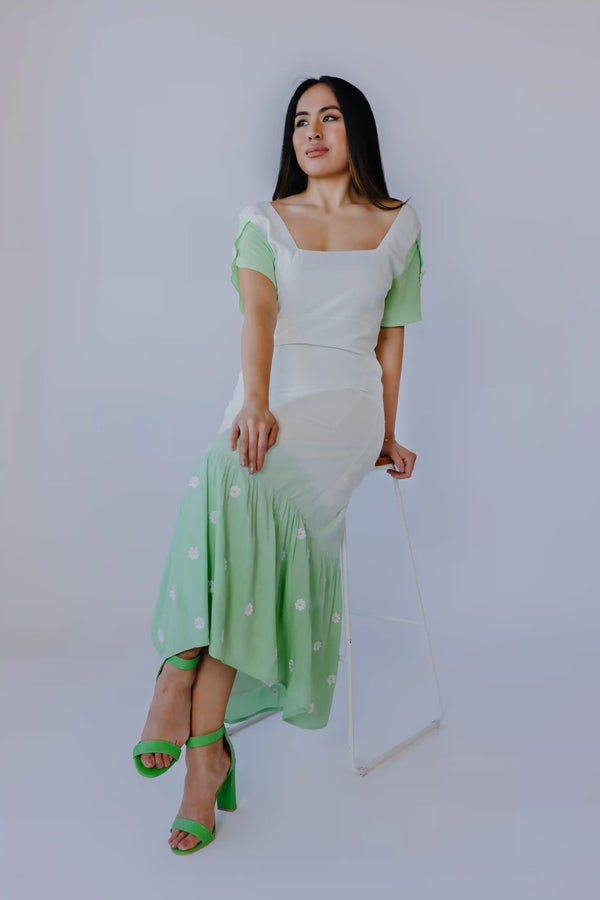 Ombre maxi dress